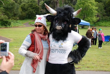Bay to Breakers, San Francisco (2011)