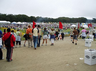 Bay to Breakers, San Francisco (2005)