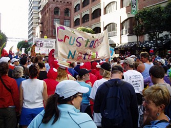 Bay to Breakers, San Francisco (2004)