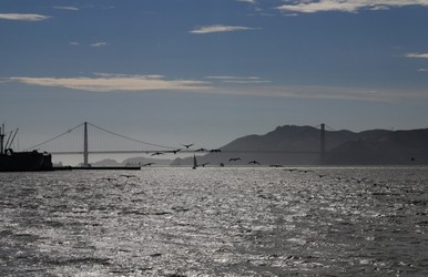 San Francisco Tour - Golden Gate Bridge