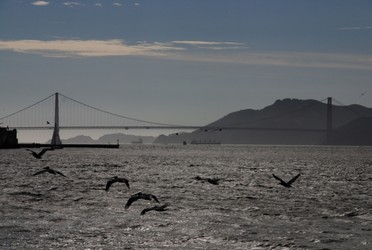 San Francisco Tour - Golden Gate Bridge
