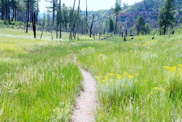 Zion National Park, West Rim Trail