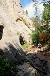 Zion National Park, West Rim Trail