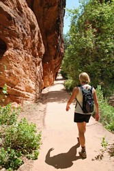 Zion National Park, West Rim Trail