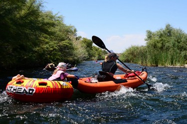 Kayaking down the Salt River, Arizona (August 2016)