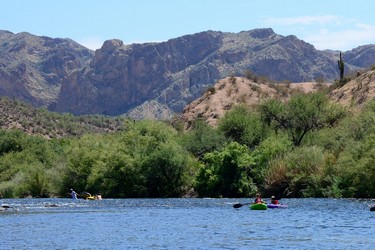 Kayaking down the Salt River, Arizona (August 2016)