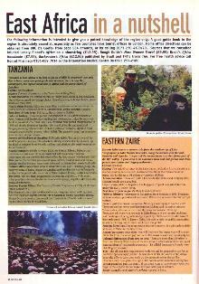 TNT Magazine, Gorillas in East Africa